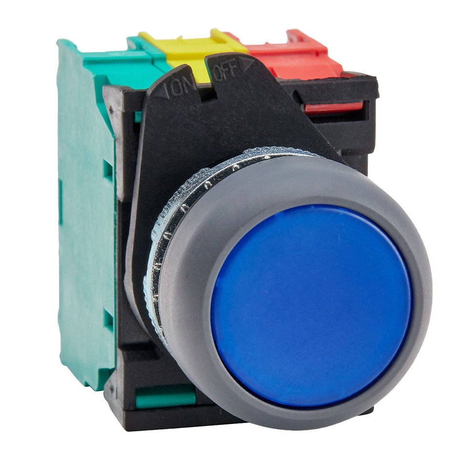 Blue Illuminated Flush Pushbutton 1NO1NC 220VAC — Giovenzana