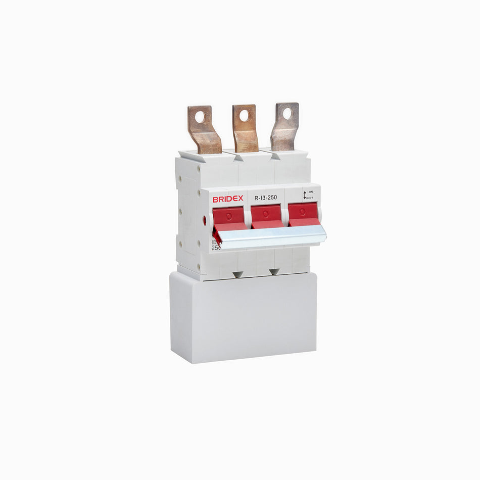 R-I3-250 - image 2